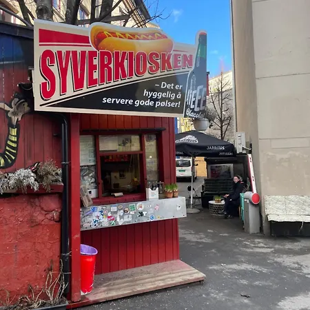 Lägenhet Moderne Ettroms Studioleilighet! Oslo