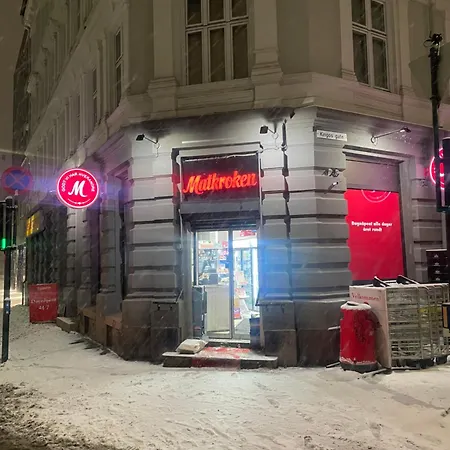 Moderne Ettroms Studioleilighet! Апартаменты Осло